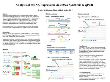 Bradley Williamson and his biotechnology research on mRNA Expression via cDNA synthesis & qPCR