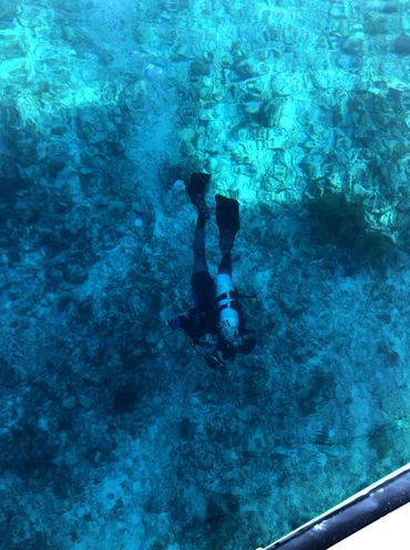 diver over ballast stones