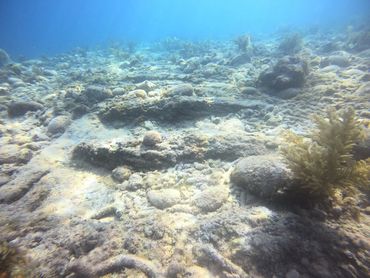 Ballast and timbers from a sunken Spanish treasure galleon