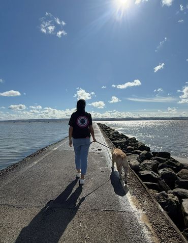 Person walking a dog on a sunny pier with water on both sides.