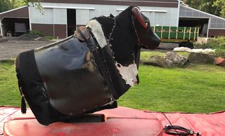 Mechanical bull for birthday parties. 