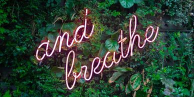 Green dense foliage backdrop with the text "and breathe" in an illuminated neon colour in a brush st