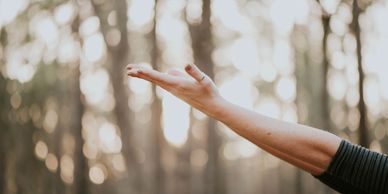 Outstretched arm, a reaching hand in the foreground. A serene blurred forest background.