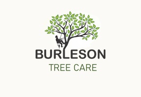 Burleson Tree Care