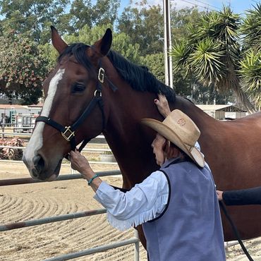 Rose Celebrates her 87th birthday with a bucket list item to "hug a horse".