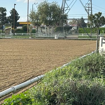 Dressage court with mirrors