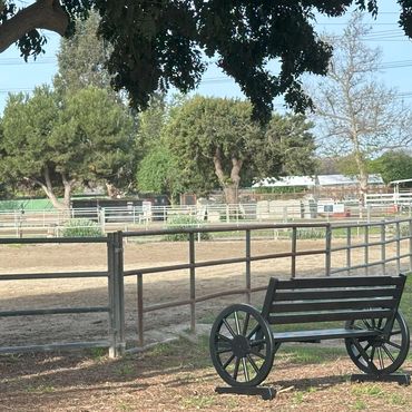 A shady seat along side our western arena