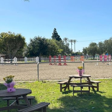 View of our jumping arena with show ring quality jumps