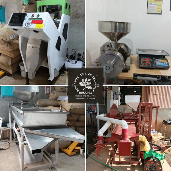 coffee milling facility processing premium green coffee beans Philippines