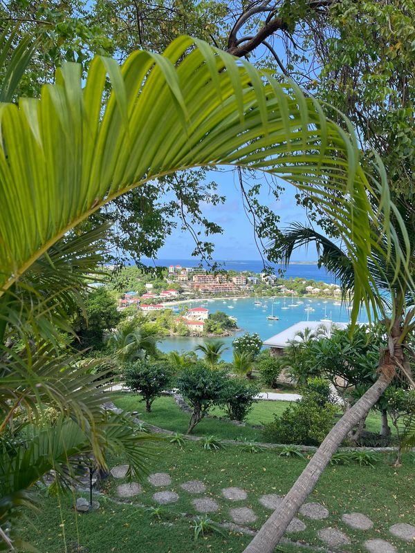 From Estate Lindholm, the view captures Cruz Bay, St. John, USVI, detailing the boat-filled harbor, shoreline buildings, and surrounding green landscape.