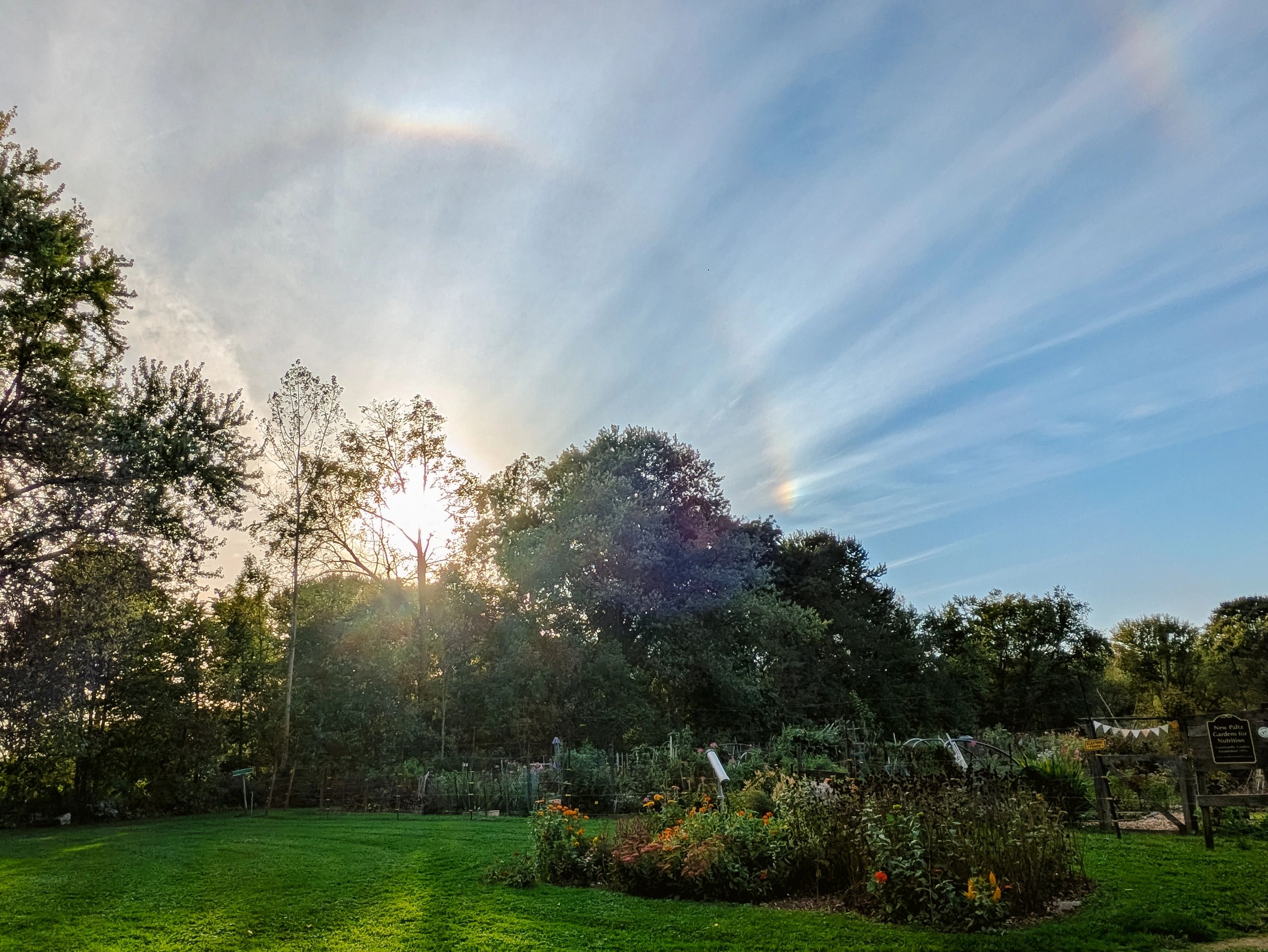 Sunset over a garden with visible sundogs in the sky.