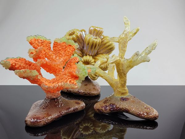 glass coral staghorn acropora eusmilia montipora blown glass