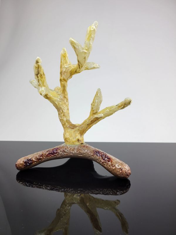 staghorn acropora coral glass sculpture