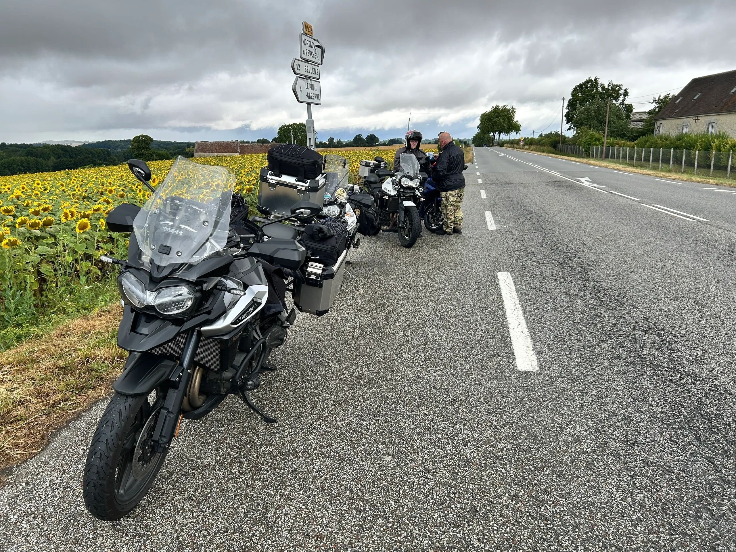 A group of motorbikes on a tour of France, parked up at the side of the road next to a sunflower fie