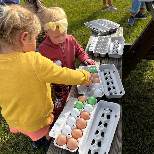 Two children sorting multicolored eggs outdoors.
