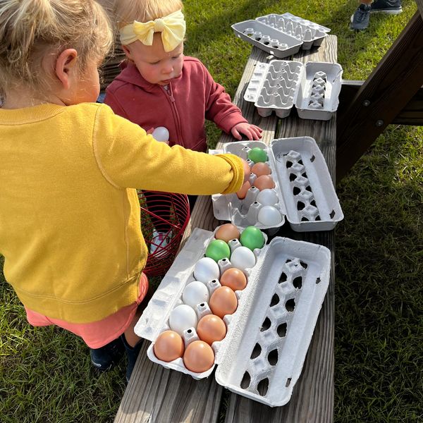 Two children sorting multicolored eggs outdoors.