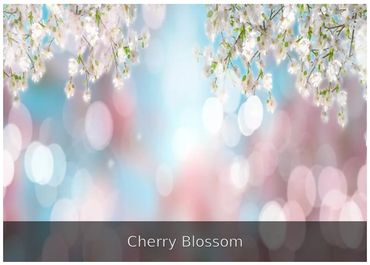 Cherry Blossom — Soft floral backdrop for weddings and spring events.