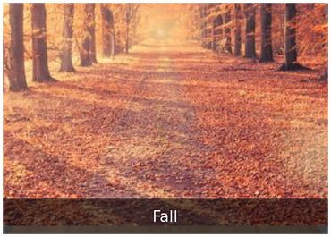 Fall — Autumn backdrop for seasonal events.