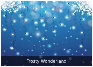 Frosty Wonderland — Winter backdrop for holiday parties.