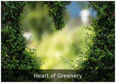 Heart of Greenery — Greenery heart backdrop for weddings and showers.