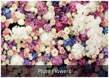 Plum Flowers photo booth backdrop from Coastal Event Reflections featuring plum, white, blush, blue,