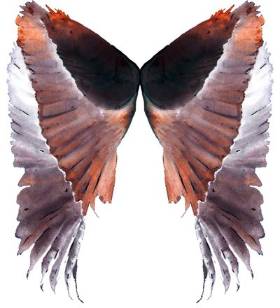 Sunshower painting, Heron wings duplicated, mirrored