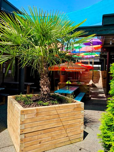 Award Winning Patio, The Deck at Donegal's, private courtyard patio