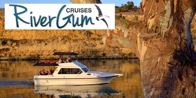 Enjoy a relaxing cruise on the Murray River, enjoying the quiet, smooth waters around Waikerie.