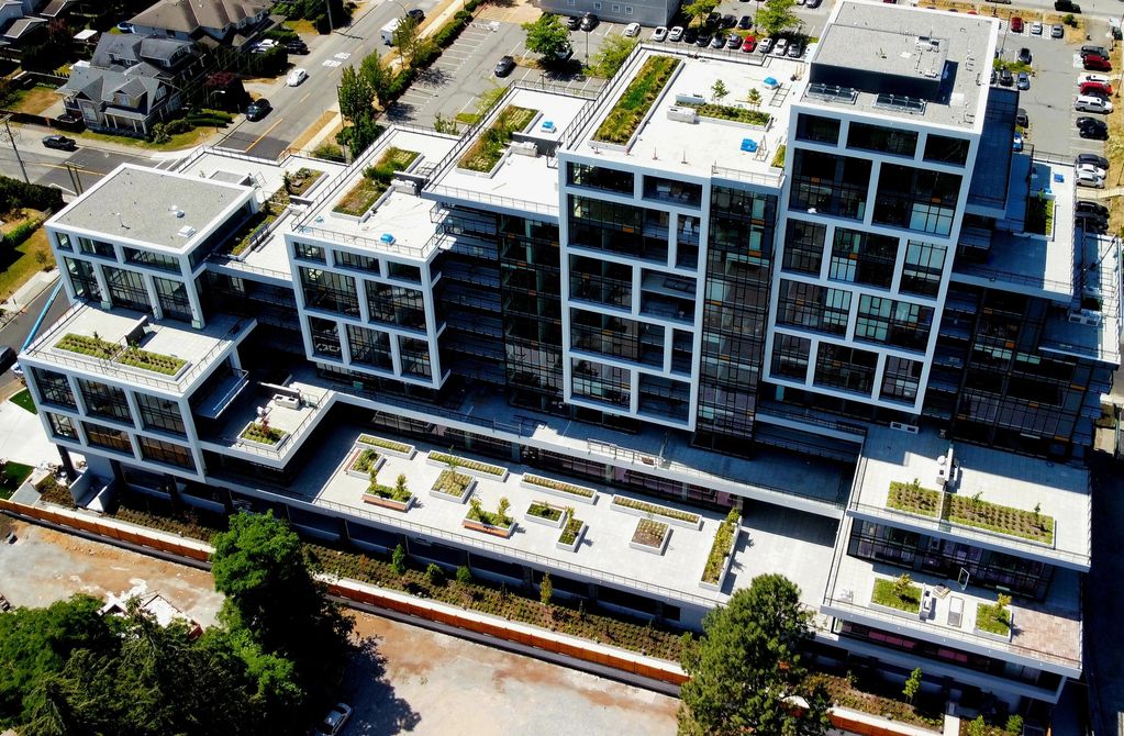 Mastering Complexity: Our 11-story Whiterock Project demanded intricate coordination with other trad