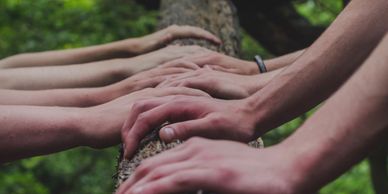 Women's hands on a log