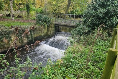 Weir removals can give a significant biodiversity net gain uplift