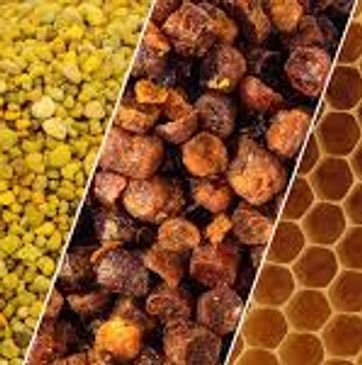 Close-up of bee pollen, propolis, and honeycomb.
