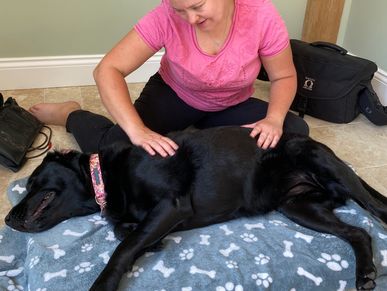 Dog massage