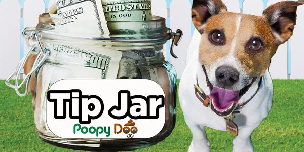 Tip Jar, Jack Russell, Grass, White Fence, Sky, Dog Poop Removal, Dog Waste Clean Up, Pet Waste 