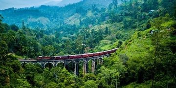 A red train crossing a lush green forest bridge in the mountains.