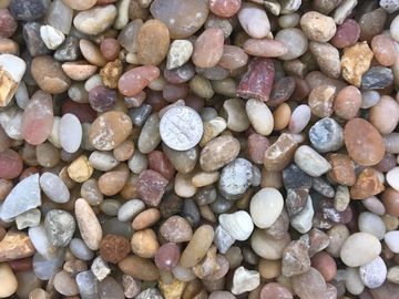 #7 Calico Pea Gravel