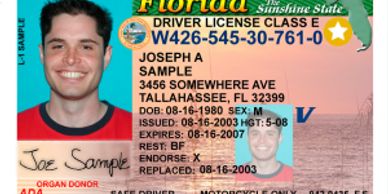 Al you need is an ID