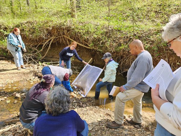 group of people collecting water from a stream for a water quality study