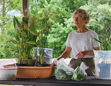 Woman standing by plants and bags of greens on a table outdoors.