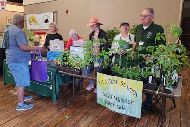 group of people conducting a plant sale