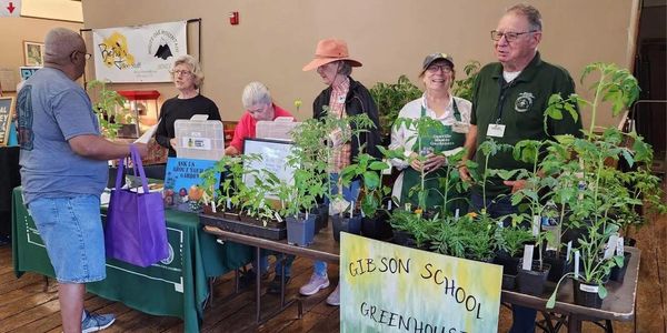 Group of people helping at a plant sale
