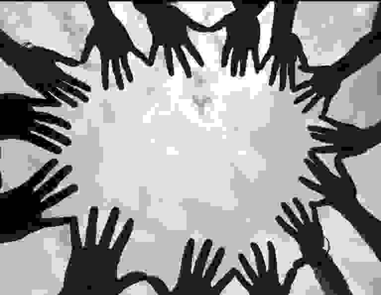 BrightSigns Interpreting 256.384.4141 Image: Silhouettes of 14 hands reaching out to form a circle.