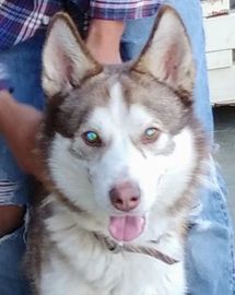 Congratulations Tanner. Thank you for saving his life Rosa & family.