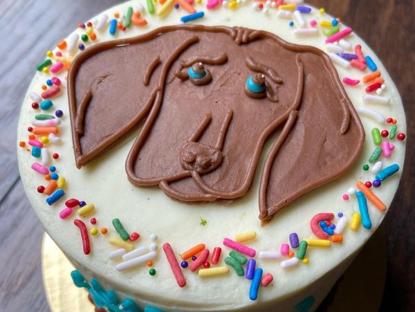 Small white cake with brown dog face drawn on top surrounded by rainbow sprinkles.