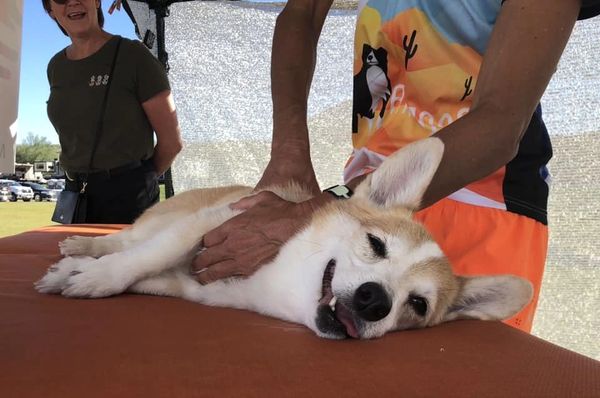 Shelby enjoying a massage!