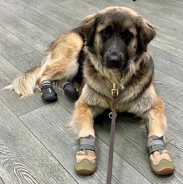 As always, very stylish in her boots