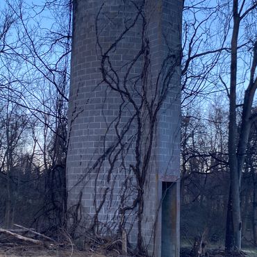 Tall, abandoned concrete silo with vines growing up its sides in a leafless forest.