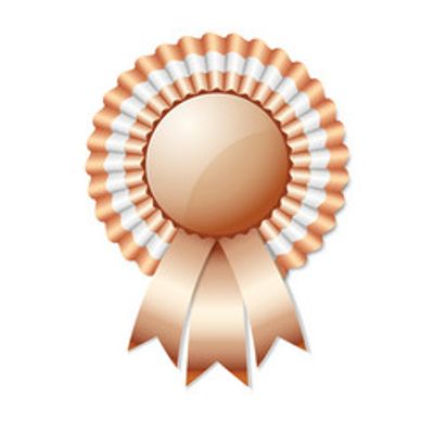 bronze rosette ADHD Addiction Recovery Coach ADHDinME Coaching