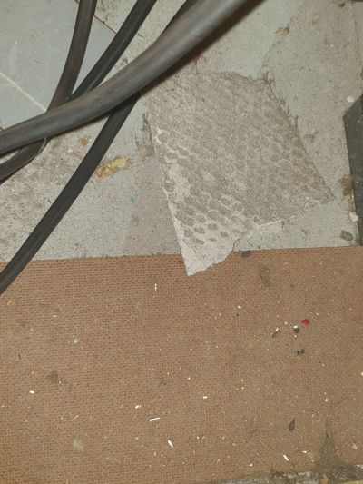 A photo of asbestos cement laying within a loft of a property.