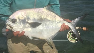 saltwater fly fishing trip hosted travel mexico belize bonefish permit tarpon snook